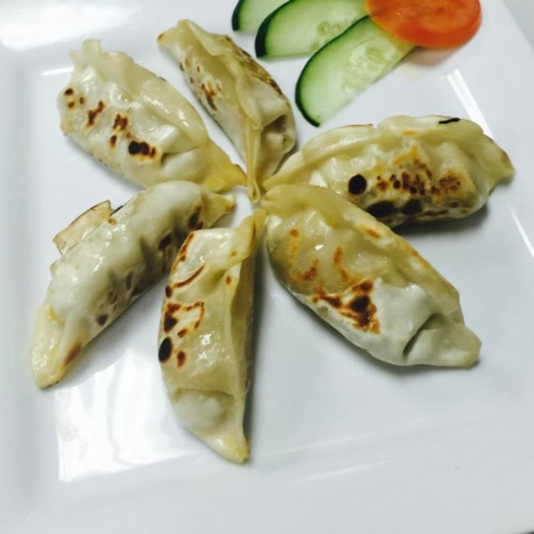 Savor Our Chicken Gyoza